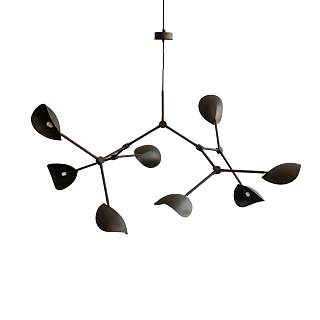 Stingray Grande Burned Black (5m)