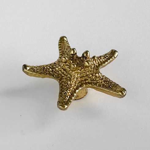 Ручка-кнопка Delight Collection MOS006 brass MOS001