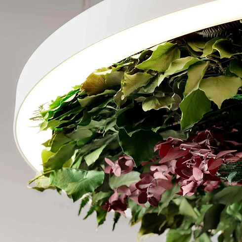 Аксессуар Olev Gavin Silence Leaf 500 Gavin 220