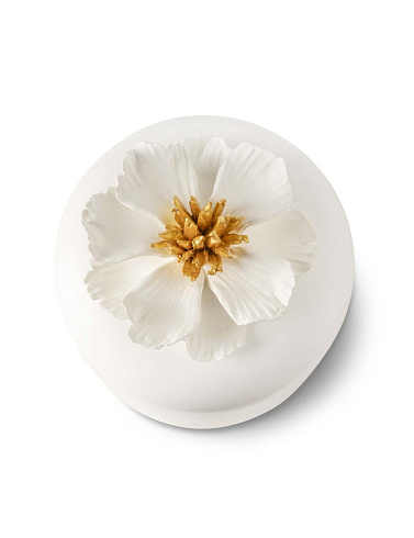 Шкатулка Abhika Peony White Peony 6000051A100