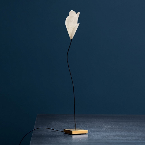 Настольная лампа Catellani & Smith For You Oggetti Senza Tempo FY