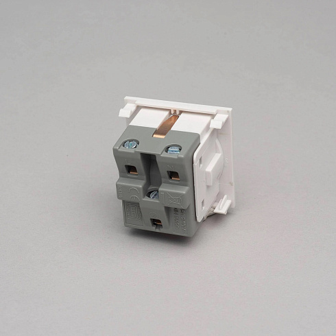 Модуль Buster and Punch Schuko Socket Type F 50mm white Plates and Modules SCHSW