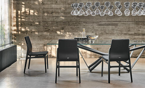Обеденный стул Cattelan Italia Ginevra Matt Black Ecrù Ginevra Ginevra OP17 / GLV03