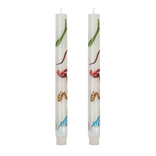 Stern Snakes White set of 2
