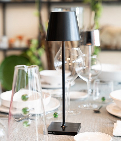 Настольная лампа Zafferano Poldina Black Poldina LD0340D3
