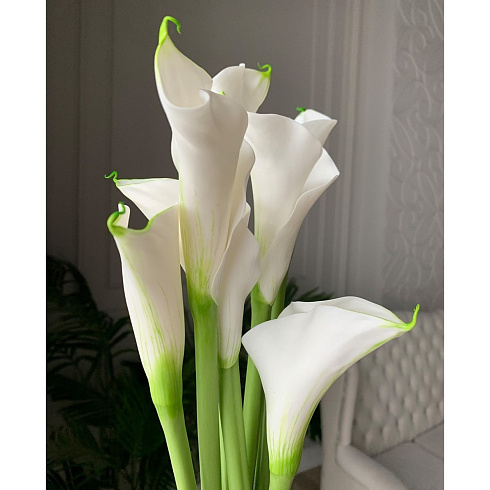 Цветы из холодного фарфора Jardiz Калла белая Calla Калла