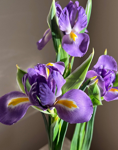 Цветы из холодного фарфора Jardiz Ирисы лиловые Iris Ирисы