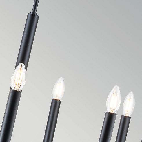 Люстры Generation Lighting FE-BRIANNA9-BK 