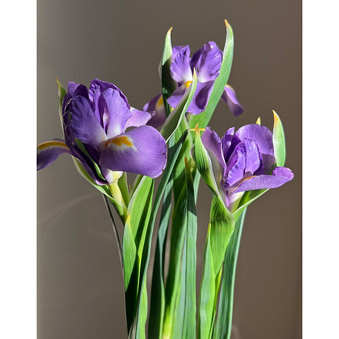Цветы из холодного фарфора Jardiz Ирисы лиловые Iris Ирисы