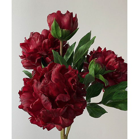 Цветы из холодного фарфора Jardiz Квин Мэри Peony