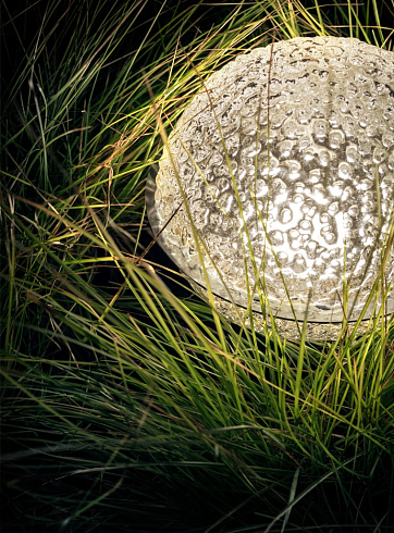 Напольный светильник Catellani & Smith Medouse transparent Medouse MD3TR