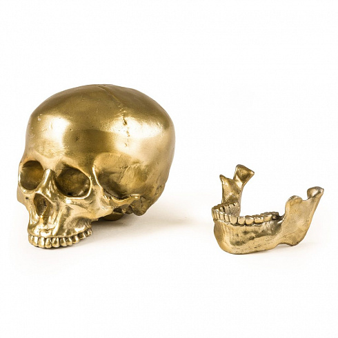 Статуэтка Seletti Wunderkrammer Human Skull Wunderkammer 10891