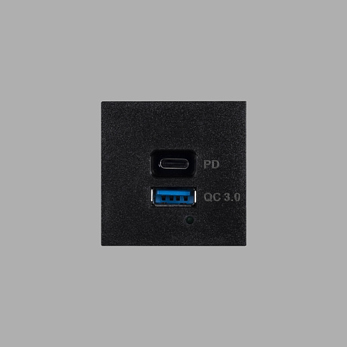 Модуль Buster and Punch USB A+C black Plates and Modules CXM-021898