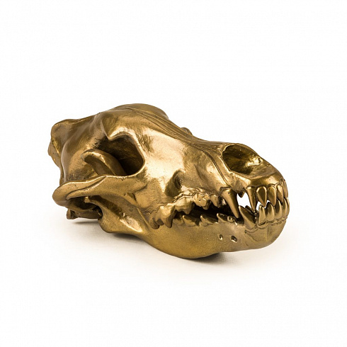 Статуэтка Seletti Wunderkrammer Wolf Skull Wunderkammer 10892