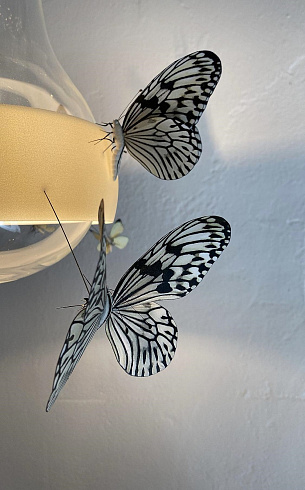 Подвесной светильник Ingo Maurer Flatterby Insekten-Modelle 1499940