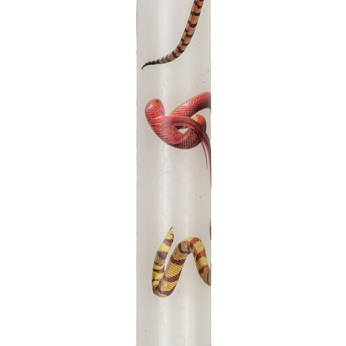 Свеча Seletti Stern Snakes White set of 2 Toiletpaper Candle 14089S