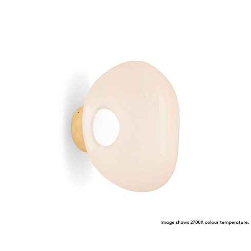 Настенный/Потолочный светильник Tom Dixon Melt Mini LED Surface Opal/Gold Melt MESS04OPG-WEUM2