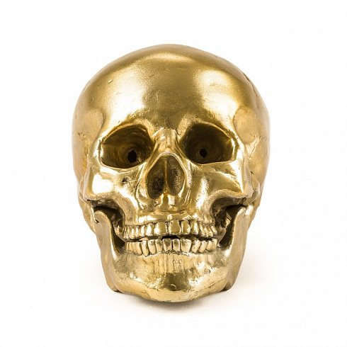 Статуэтка Seletti Wunderkrammer Human Skull Wunderkammer 10891