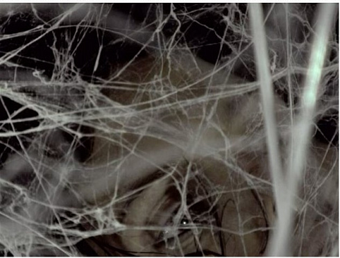 Подвесной светильник Flos Overlap 2 Overlap F4634009