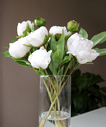 Цветы из холодного фарфора Jardiz Пломбир Peony