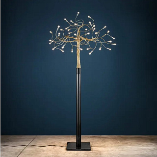 Albero della Luce