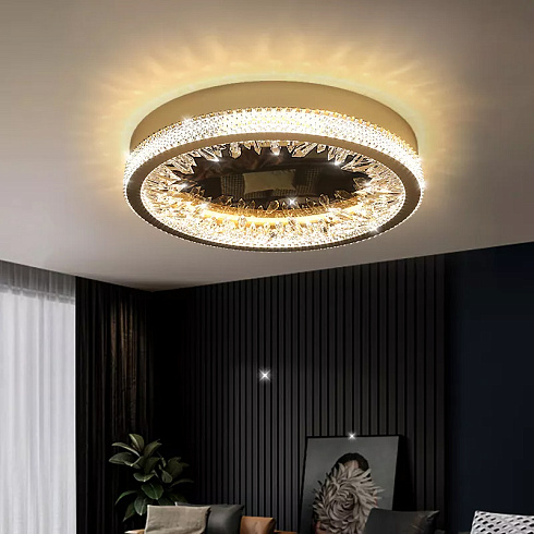 Настенный/Потолочный светильник Delight Collection XD-50 gold Bartlett