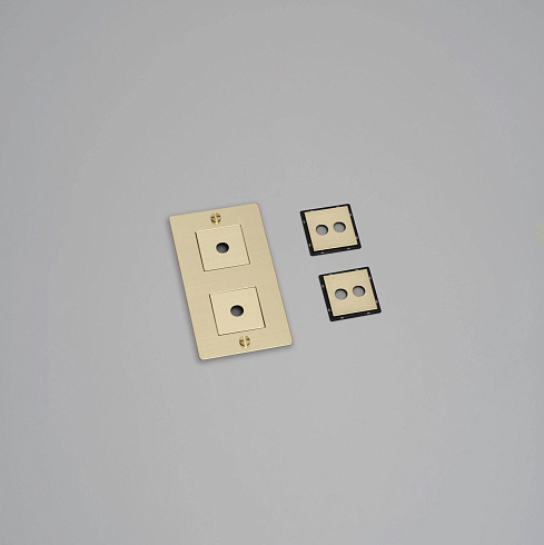 Рамка Buster and Punch 2G Vertical with Infills brass Plates and Modules CPL-052392
