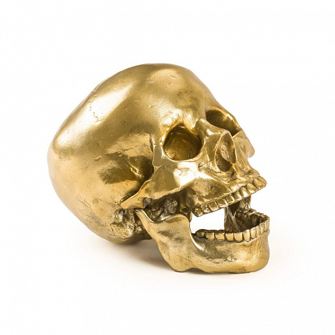 Статуэтка Seletti Wunderkrammer Human Skull Wunderkammer 10891