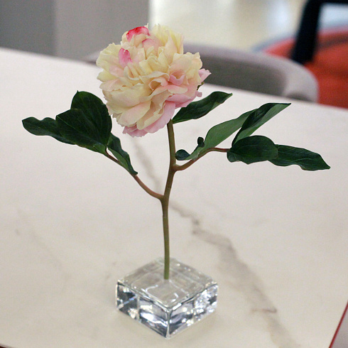 Цветы из холодного фарфора Jardiz Пион розово-желтый Peony Пион раскрытый розово-желтый