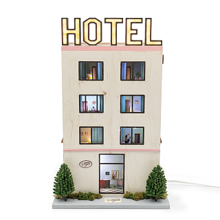 Hotel Voyeur