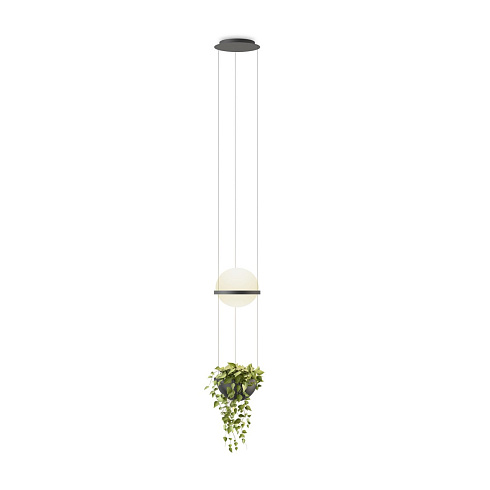 Подвесной светильник Vibia Palma 3724 Graphite Palma 372418/1B