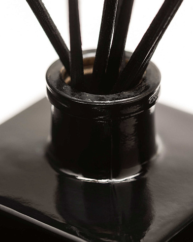 Диффузор Cereria Molla Santal & Tonka 100 мл Santal & Tonka 1328