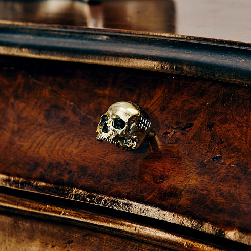 Ручка-кнопка Buster and Punch Skull Brass Skull UFK-051828
