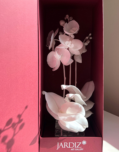 Цветы из холодного фарфора Jardiz Орхидея Альбинос Orchid Орхидеи