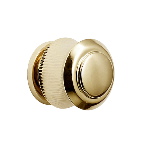 Ручка-кнопка Rejuvenation Rigdon with Round Backplate Unlacquered Brass Rigdon 6543497