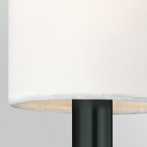 Настенные светильники Generation Lighting FE-BRIANNA1-BK 
