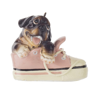 Собачка в ботинке