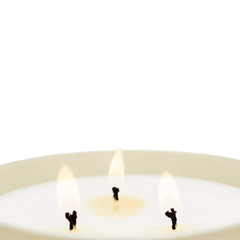 Свеча Cereria Molla Velvet Wood XL, 3 фитиля 600 г Velvet Wood 6640