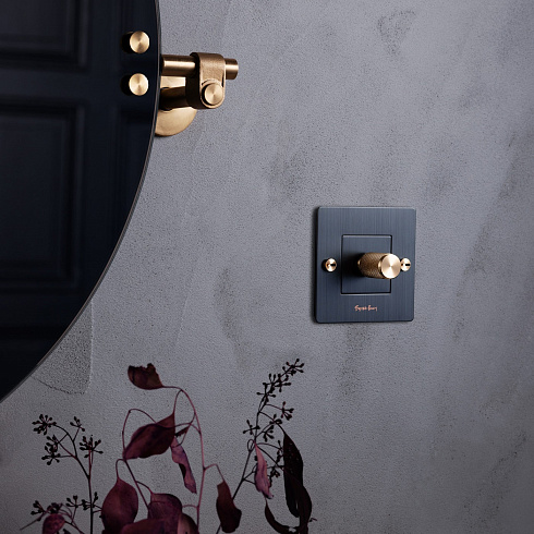 Тумблер Buster and Punch Dimmer smoked bronze Plates and Modules CDK-092051