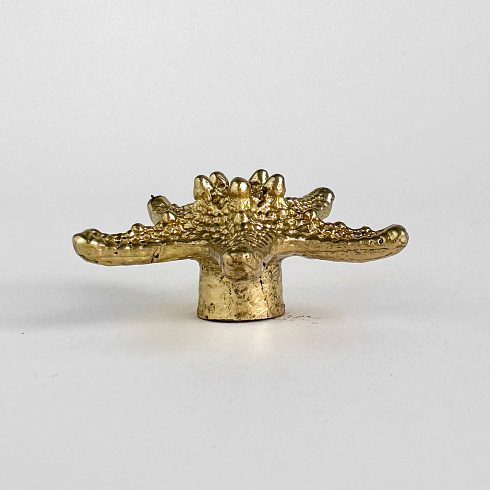 Ручка-кнопка Delight Collection MOS006 brass MOS001