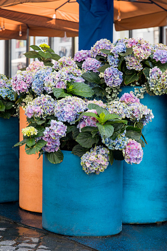 Кашпо Delight Collection CYLINDER CLASSIC CLAY CYLINDER