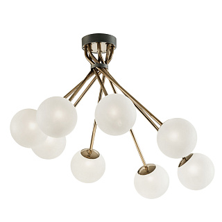 Tea 2392/PL Charcoal grey/ Gold nickel